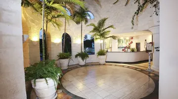 Bougainvillea Barbados