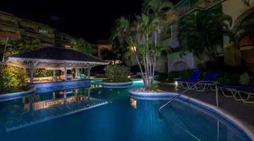 Bougainvillea Barbados