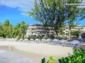 Bougainvillea Barbados