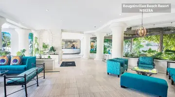 Bougainvillea Barbados