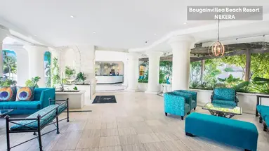 Bougainvillea Barbados