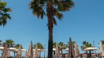 Bounty Hotel