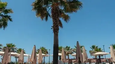 Bounty Hotel
