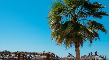 Bounty Hotel