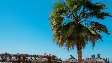 Bounty Hotel