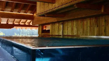 Boutique Hotel Die Alpbac
