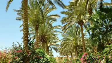 Brayka Bay Resort