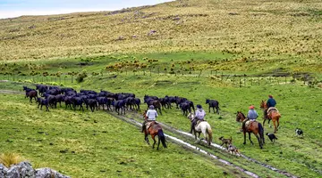 Brazylia i Argentyna dla chętnych Urugwaj