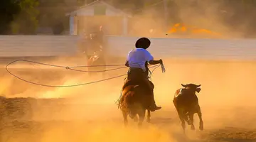 Brazylia i Argentyna