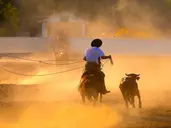 Brazylia i Argentyna