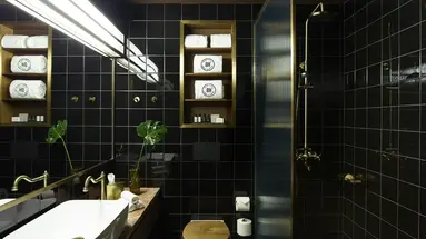 Brown Acropol