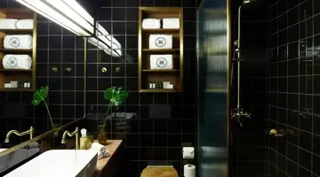 Brown Acropol
