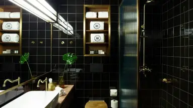 BROWN ACROPOL
