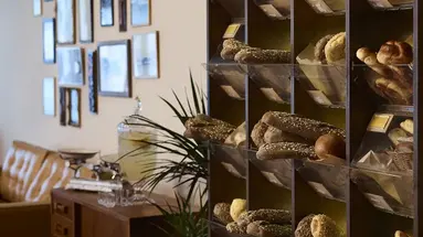 Brown Acropol