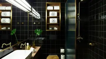 BROWN ACROPOL