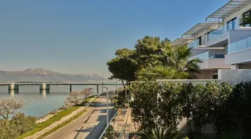 Brown Beach House