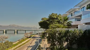 Brown Beach House