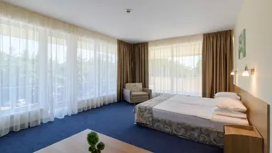 BSA Gradina