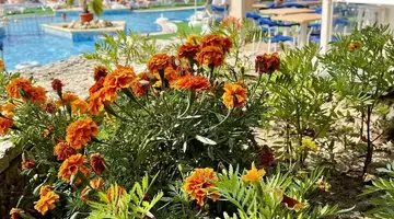 BSA Holiday Park