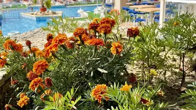 BSA Holiday Park