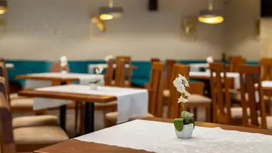 BSA Hotel Gradina