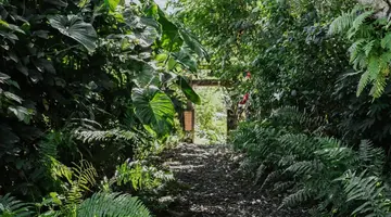 Buahan, a Banyan Tree Escape