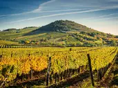 Budapeszt i Tokaj - w krainie wina, czardasza i gorących źródeł - dla wygodnych