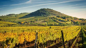 Budapeszt i Tokaj - w krainie wina, czardasza i gorących źródeł - dla wygodnych