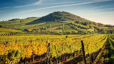 Budapeszt i Tokaj - w krainie wina, czardasza i gorących źródeł - dla wygodnych