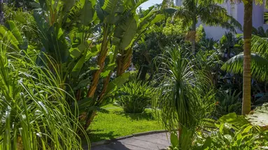 Buganvilia Studio Hotel