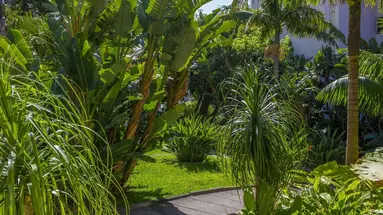 Buganvilia Studio Hotel