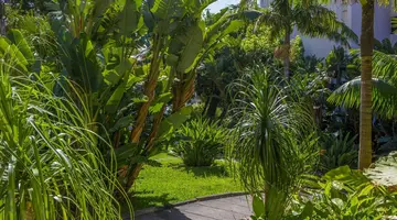 Buganvilia Studio Hotel