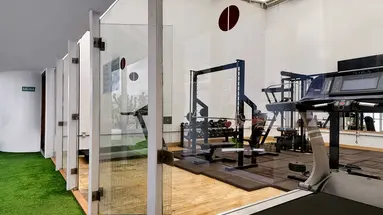 Bull Astoria