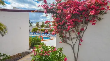 Bungalows Castillo Beach