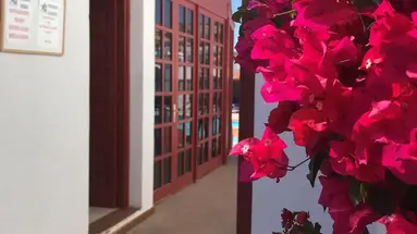 Bungalows Castillo Beach