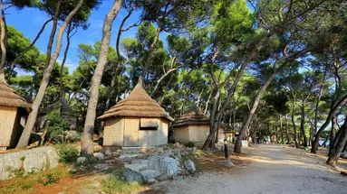 Bungalows Pine Beach Pakostane