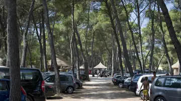 Bungalows Pine Beach Pakostane