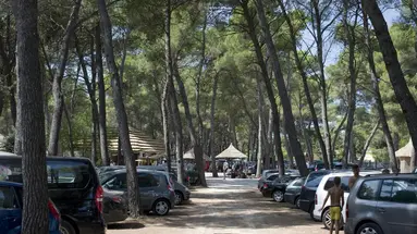 Bungalows Pine Beach Pakostane