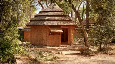 Bungalows Pine Beach Pakostane