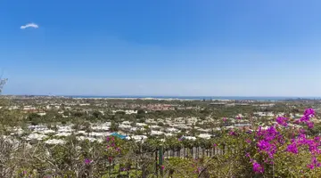 Bungalows Vista Oasis