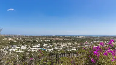 Bungalows Vista Oasis