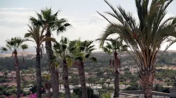 Bungalows Vista Oasis