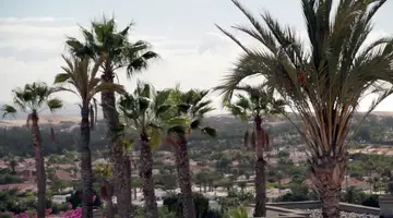 Bungalows Vista Oasis