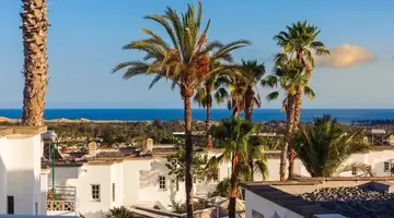 Bungalows Vista Oasis