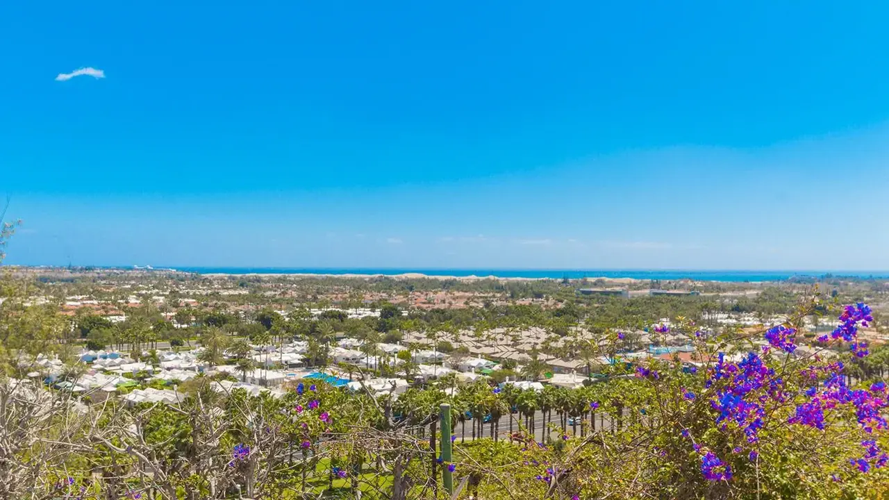 Bungalows Vista Oasis