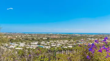 Bungalows Vista Oasis
