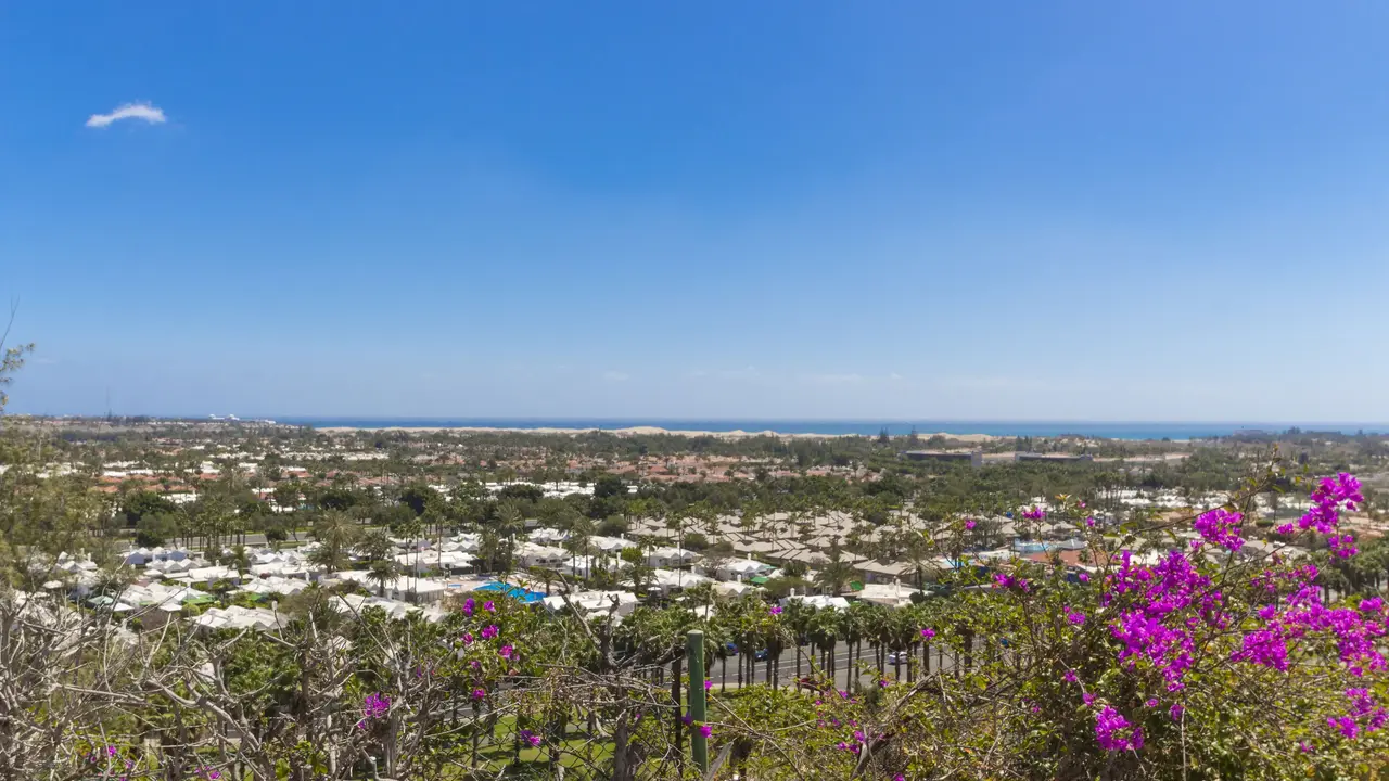Bungalows Vista Oasis
