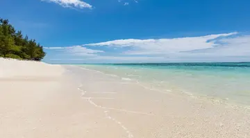 C MAURITIUS