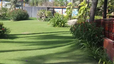 CA TY MUI NE RESORT