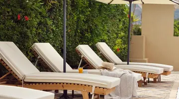 Cactus Hotel